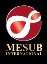 MESUBTRAVEL