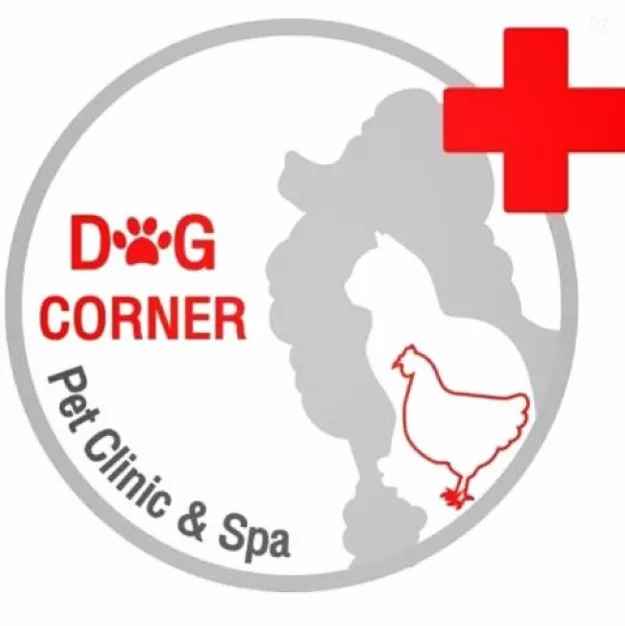 DC petclinic